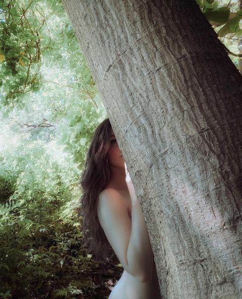 Person partially hidden behind a tree in a forest